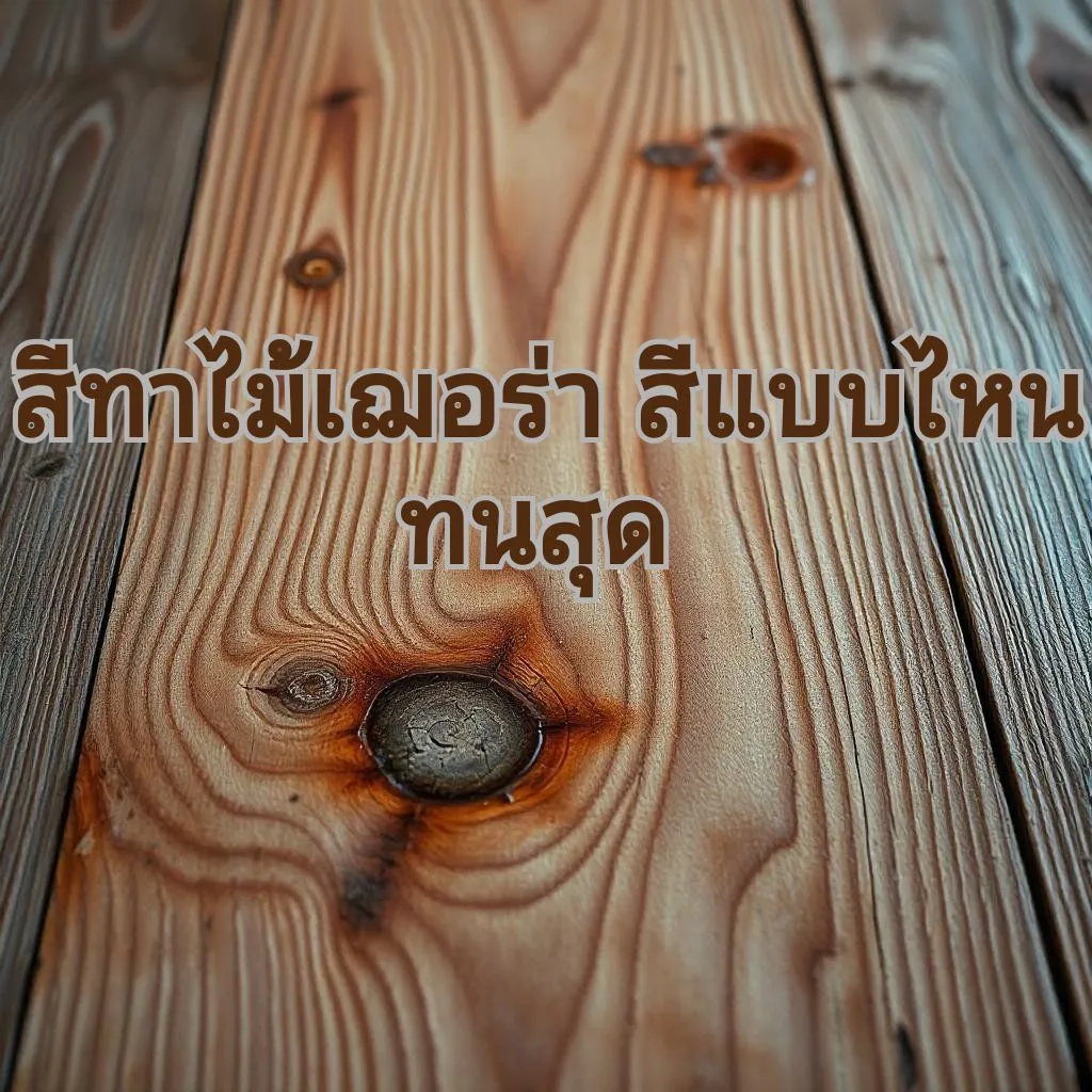 สีไม้เฌอร่า
