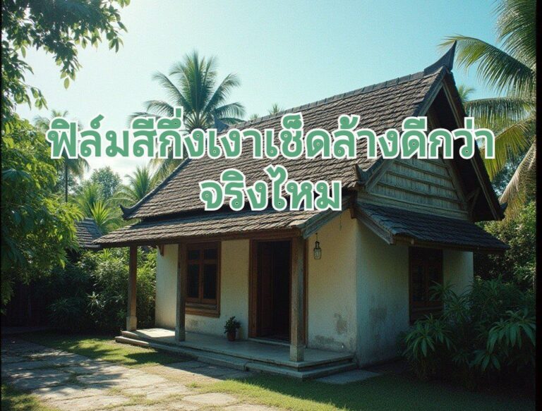 ฟิล์มสีด้าน